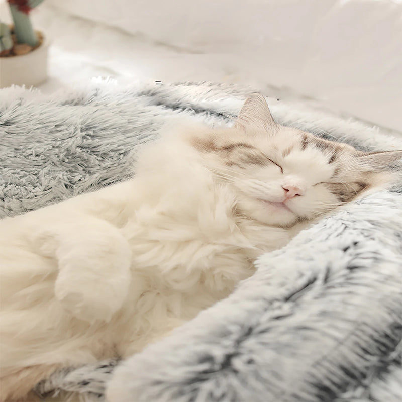 Cama de gato redonda fofa com capuz, para gatos internos ou cães pequeno